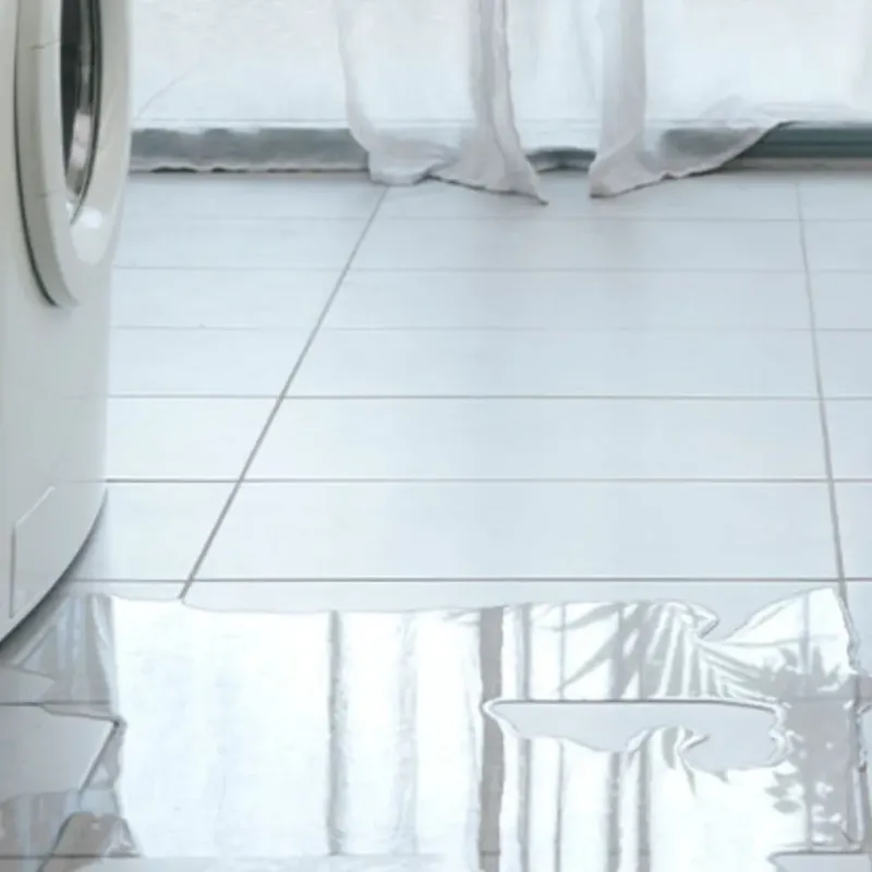 Appliance Leak Cleanup in Hollister, CA